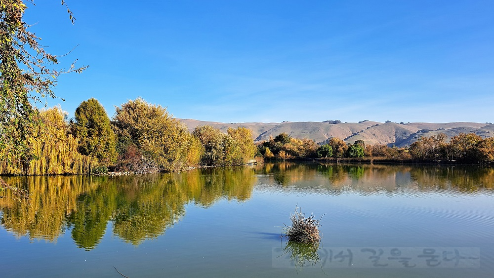 Central Park(Fremont&#44;CA)