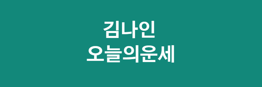 김나인 오늘의 운세
