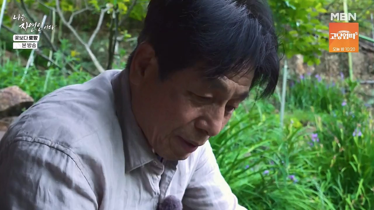나는 자연인이다.E608.240606p-NEXT.mp4_20240606_164047.168.jpg