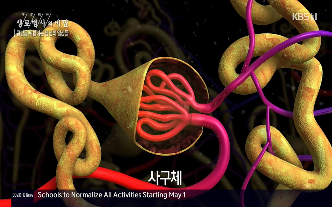 생로병사의 비밀.E819.220421p-NEXT.mp4_20220421_194718.742.jpg