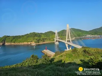 거문도 배편 시간표 예매 요금_8