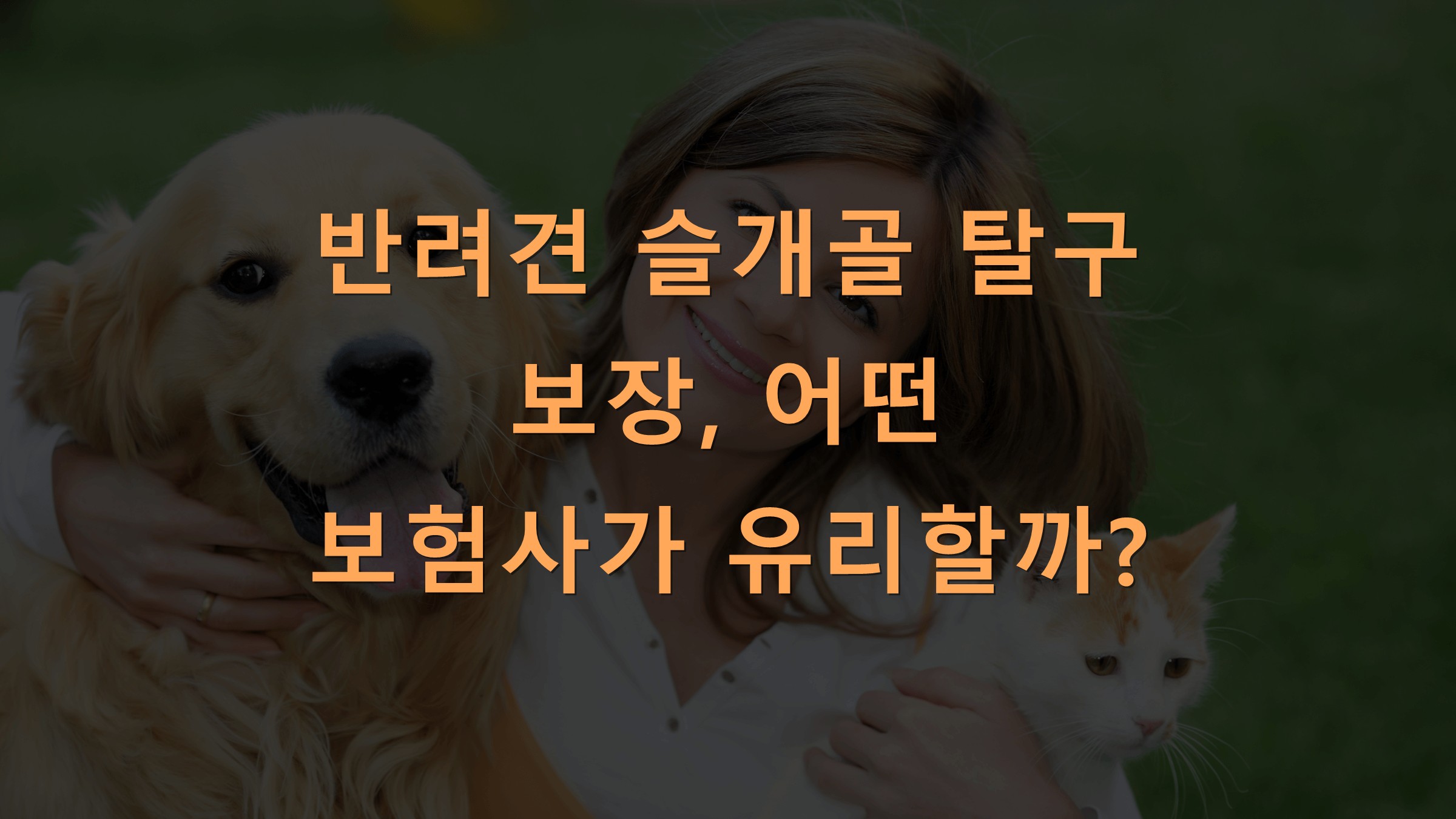 반려견 슬개골 탈구 보장, 어떤 보험사가 유리할까?