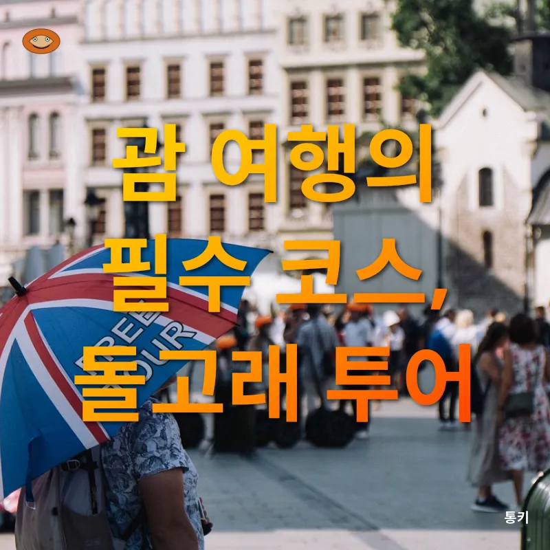 돌고래 관찰 투어_3