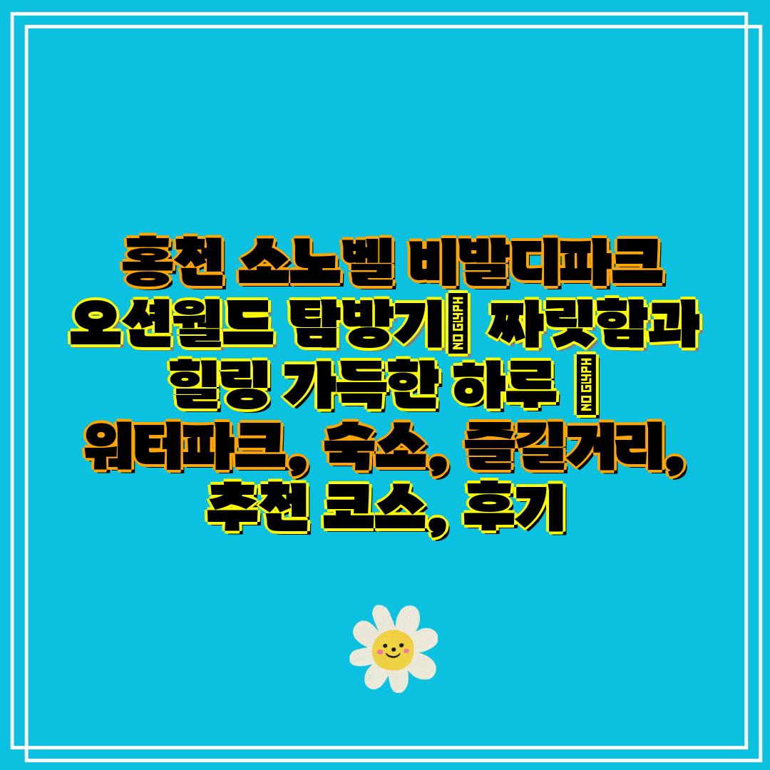  홍천 소노벨 비발디파크 오션월드 탐방기 짜릿함과 힐링