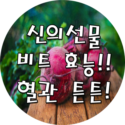  레드비트효능과 먹는법!! 고혈압,심근경색,혈관질환 모두 해결!!