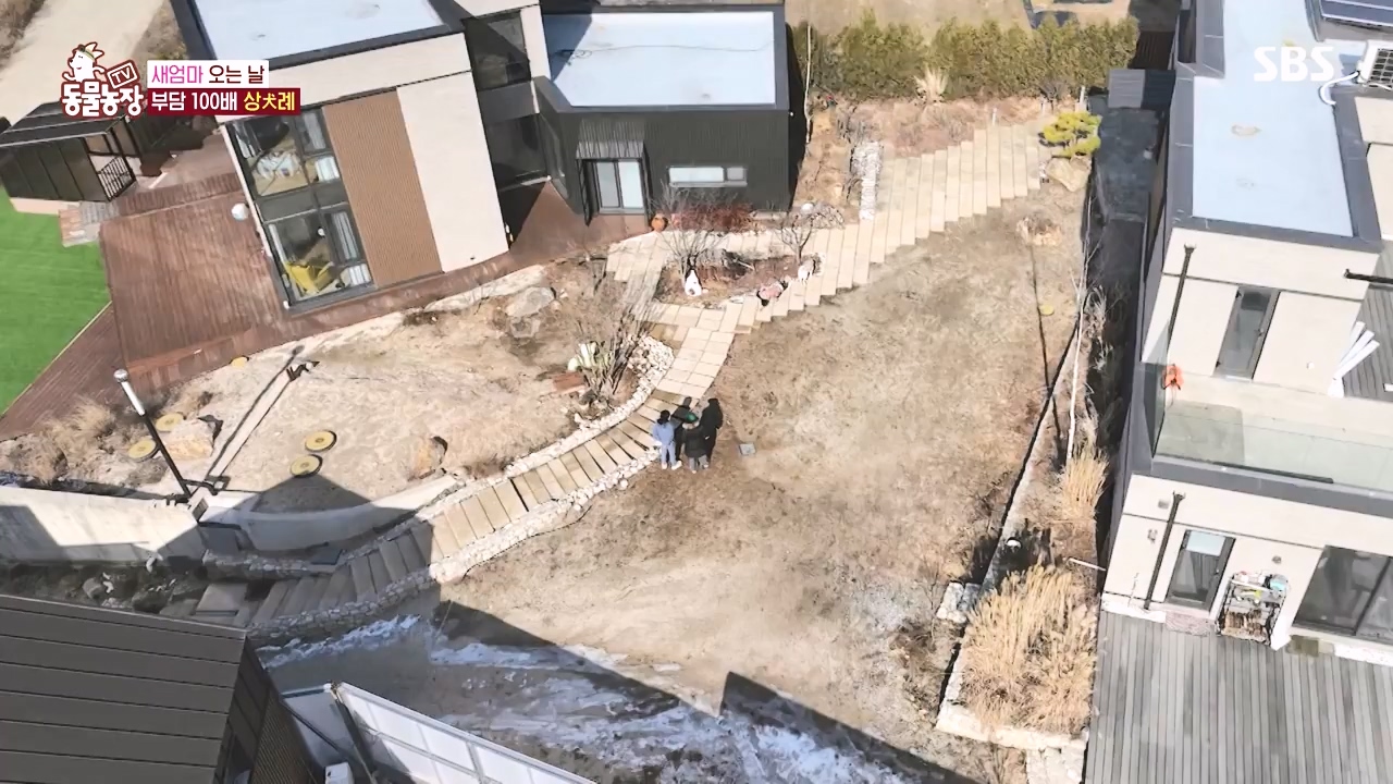 TV 동물농장.E1167.240415p-NEXT.mp4_20240414_160916.637.jpg