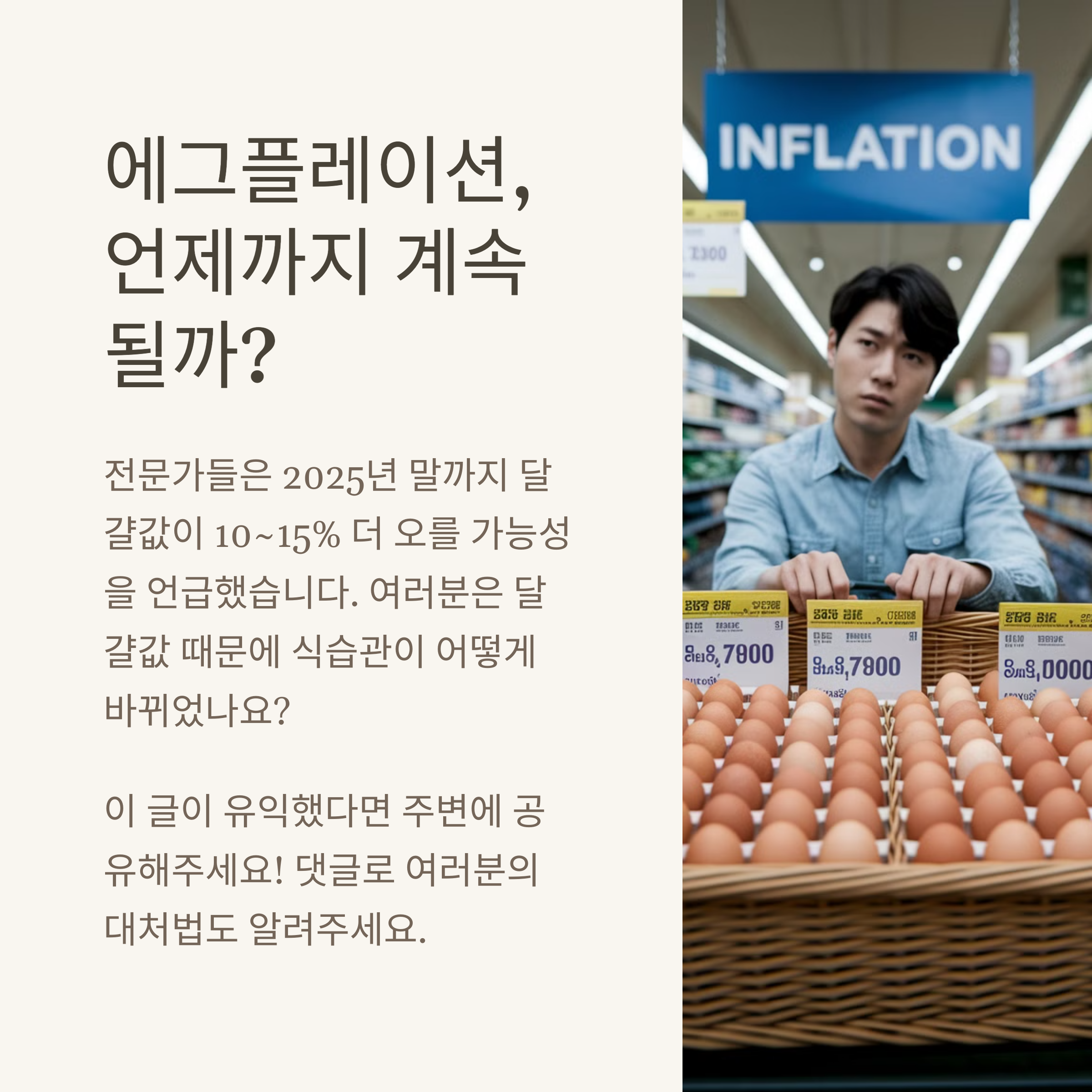 ‘에그플레이션’으로 금값이 된 달걀 전망