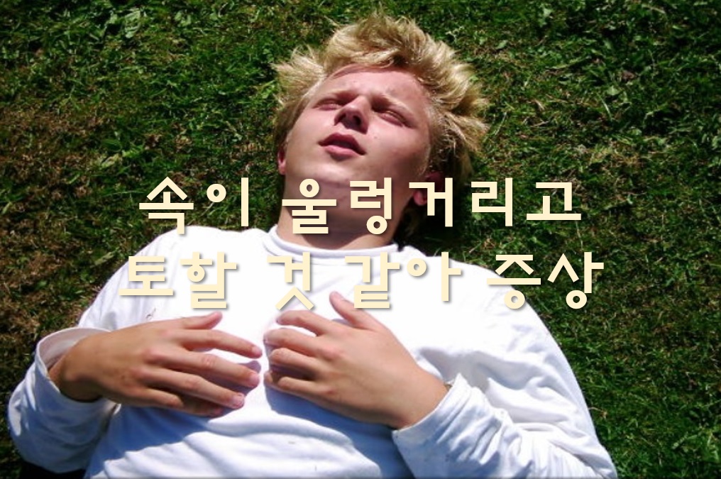  속이 울렁거리고 토할 것 같아 증상의 원인