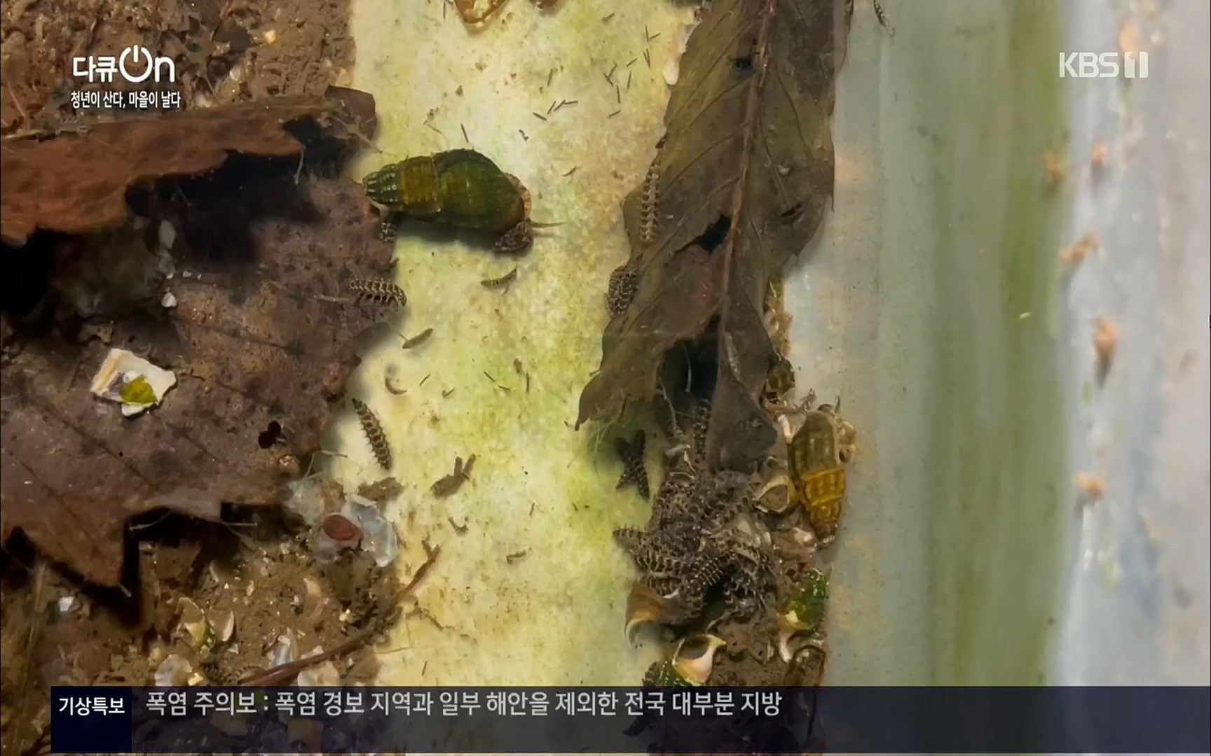 다큐 On.E146.220701p.H264-F1RST.mp4_20220704_205930.979.jpg