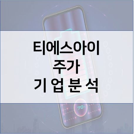 티에스아이 주가 기업 분석