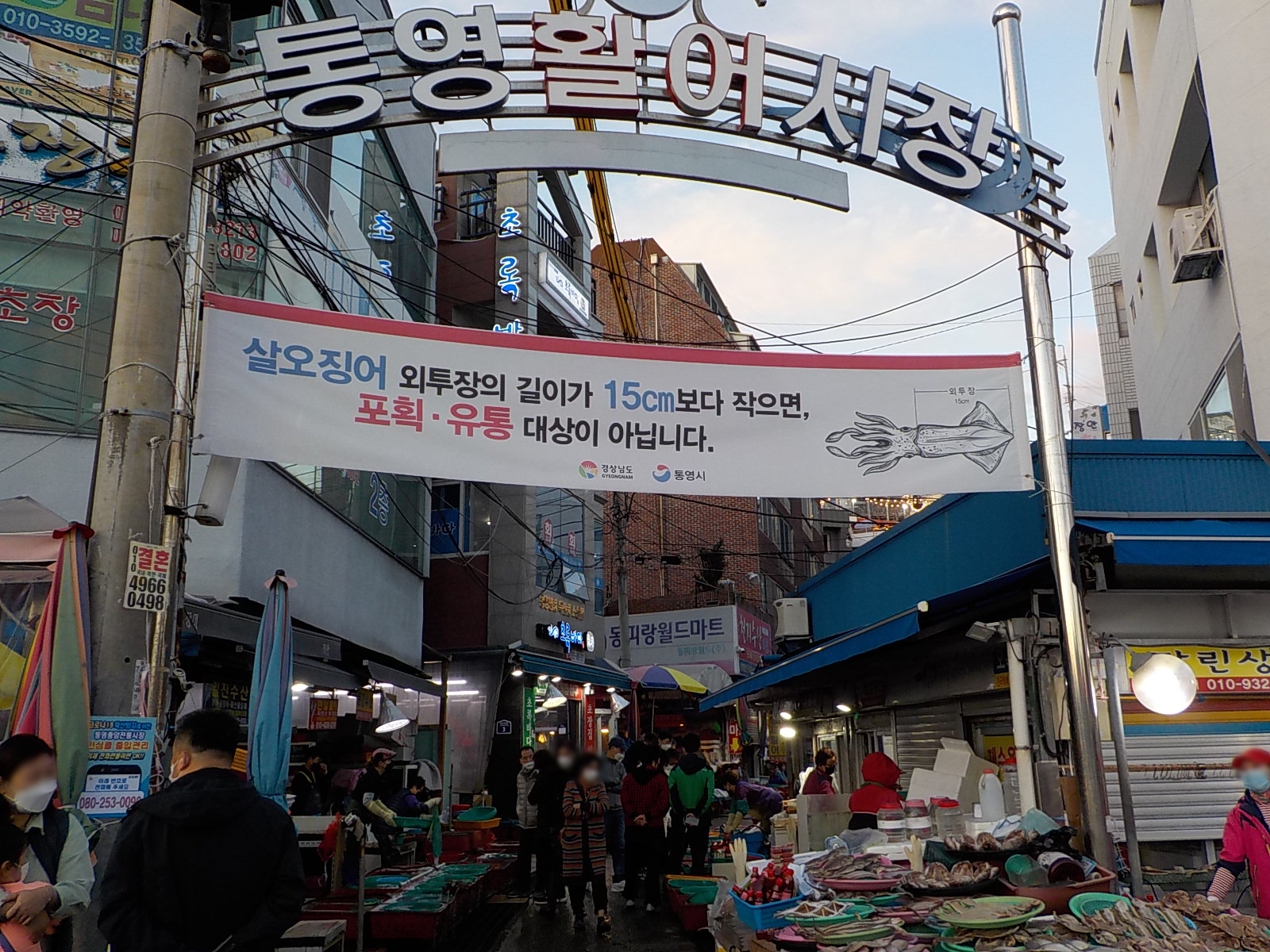 충무활어시장 이미지