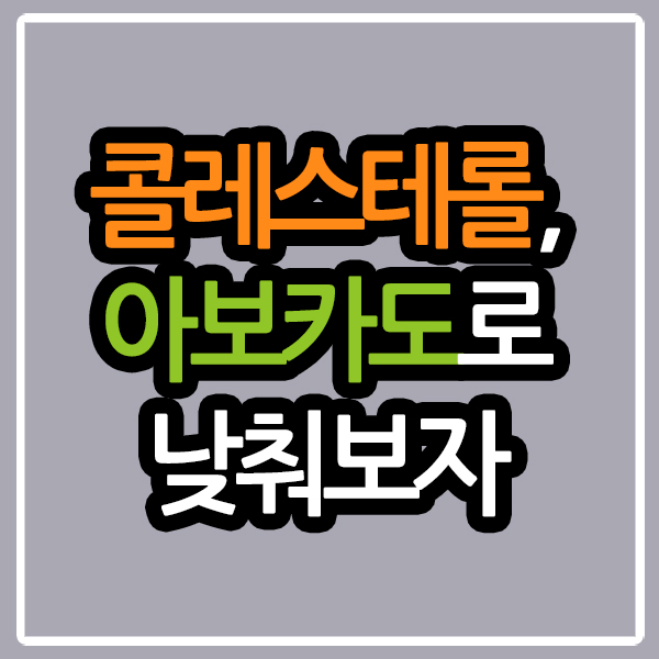 아보카도와 콜레스테롤