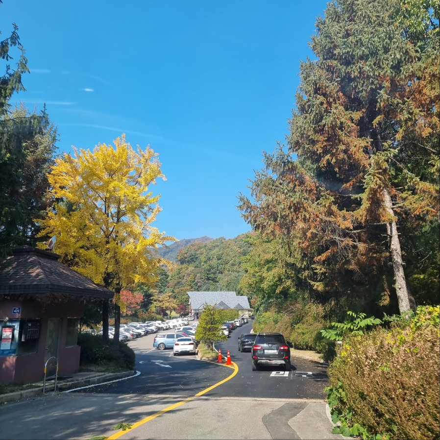 천룡CC 입구