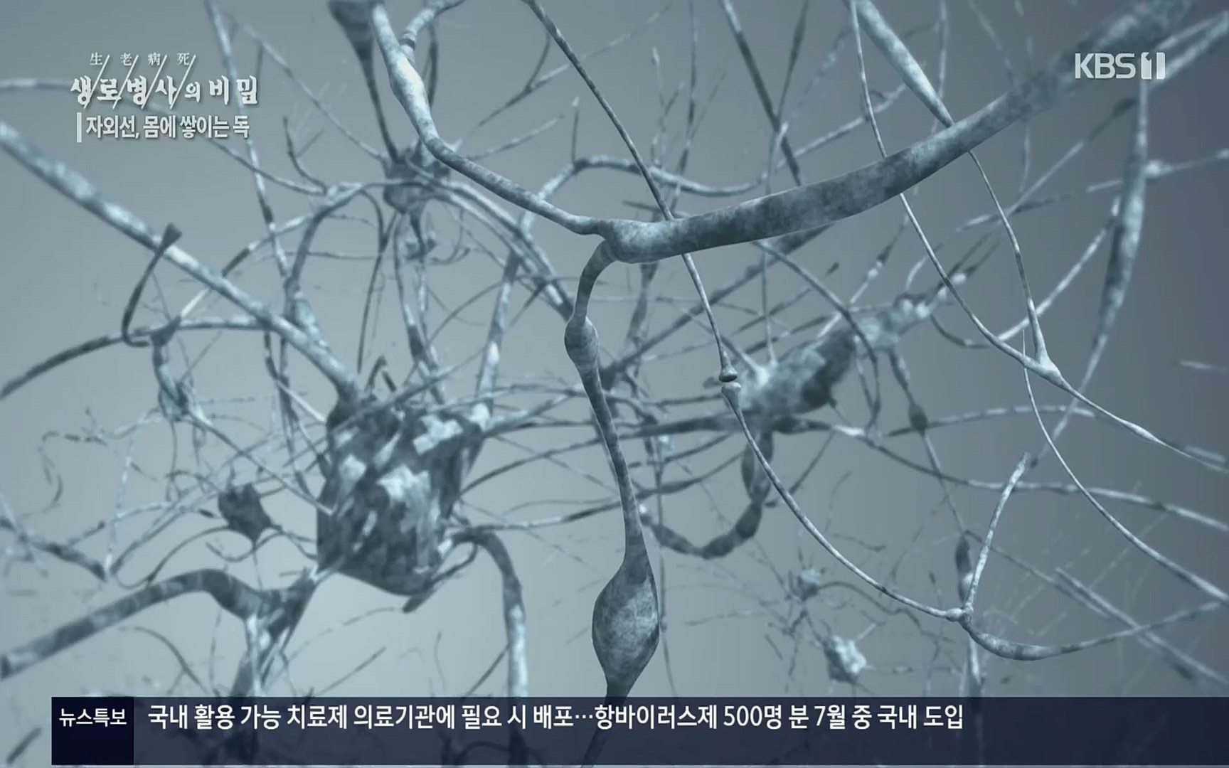 생로병사의 비밀.E824.220629p.H264-F1RST.mp4_20220630_205908.540.jpg