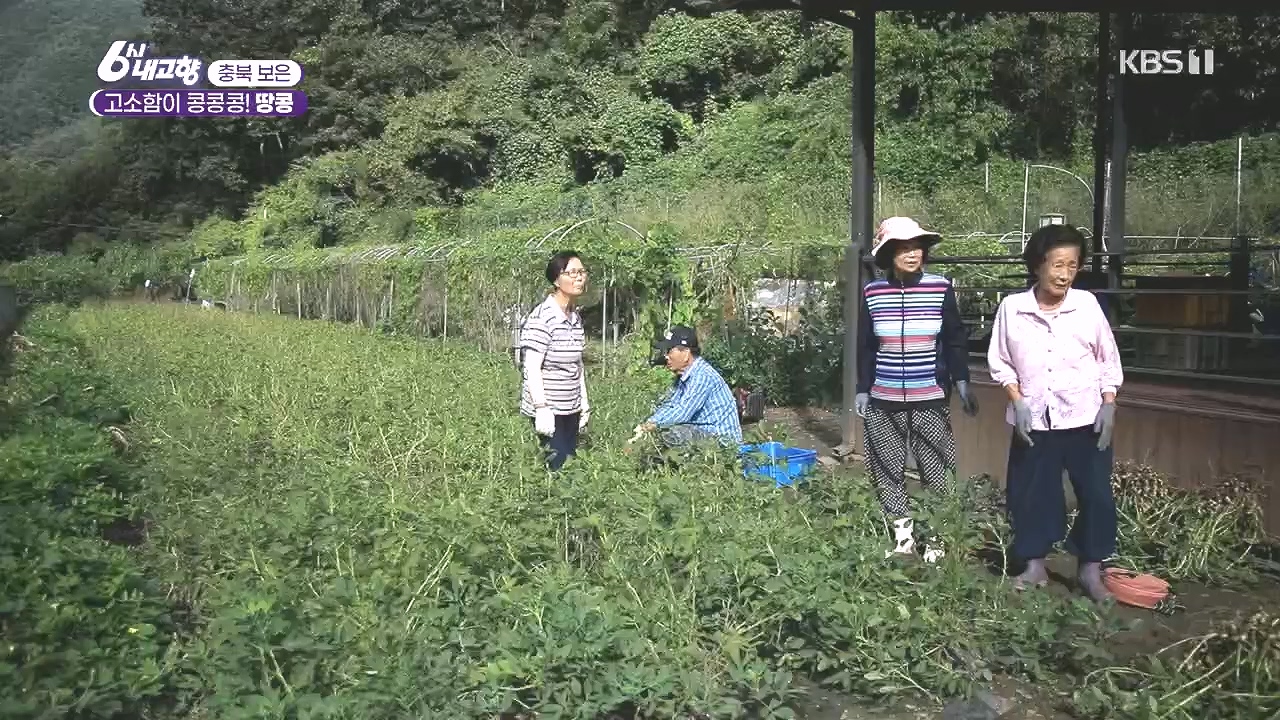 6시 내고향.E7892.231018p.H264-F1RST.mp4_20231018_194658.689.jpg