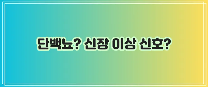 소변에 거품이 나는 이유, 혹시 궁금하신가요?