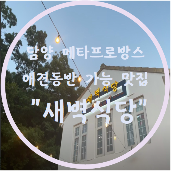  담양 메타프로방스 애견동반 가능 맛집 "새벽식당"