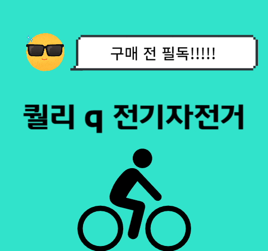 퀄리-q-전기자전거