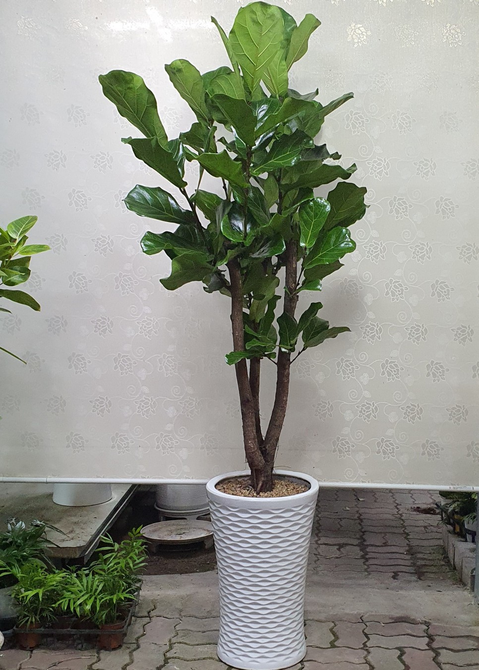 모델하우스 오픈식 3단 축하화환도 수제로 배달하는 당진채운동 꽃집 푸른화원입니다 당진꽃집 당진화분 동부센트레빌 르네블루 모델하우스 개관식에 대형화분 배달 7