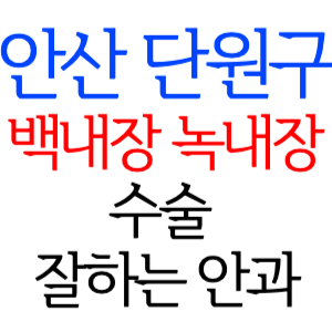 안산 단원구 백내장 녹내장 수술잘하는곳 안과 병원 추천 후기 수술 가격 비용 비교 스마일라식 라섹 드림렌즈 노안 노인 근시 시력교정 렌즈 시력검사 망막 종합검진