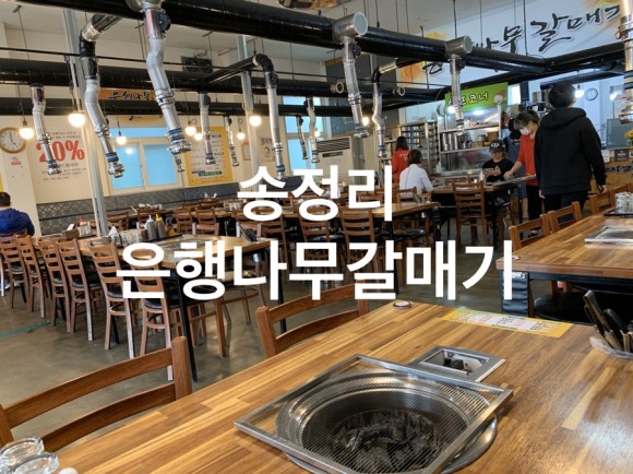 은행나무갈매기 이미지