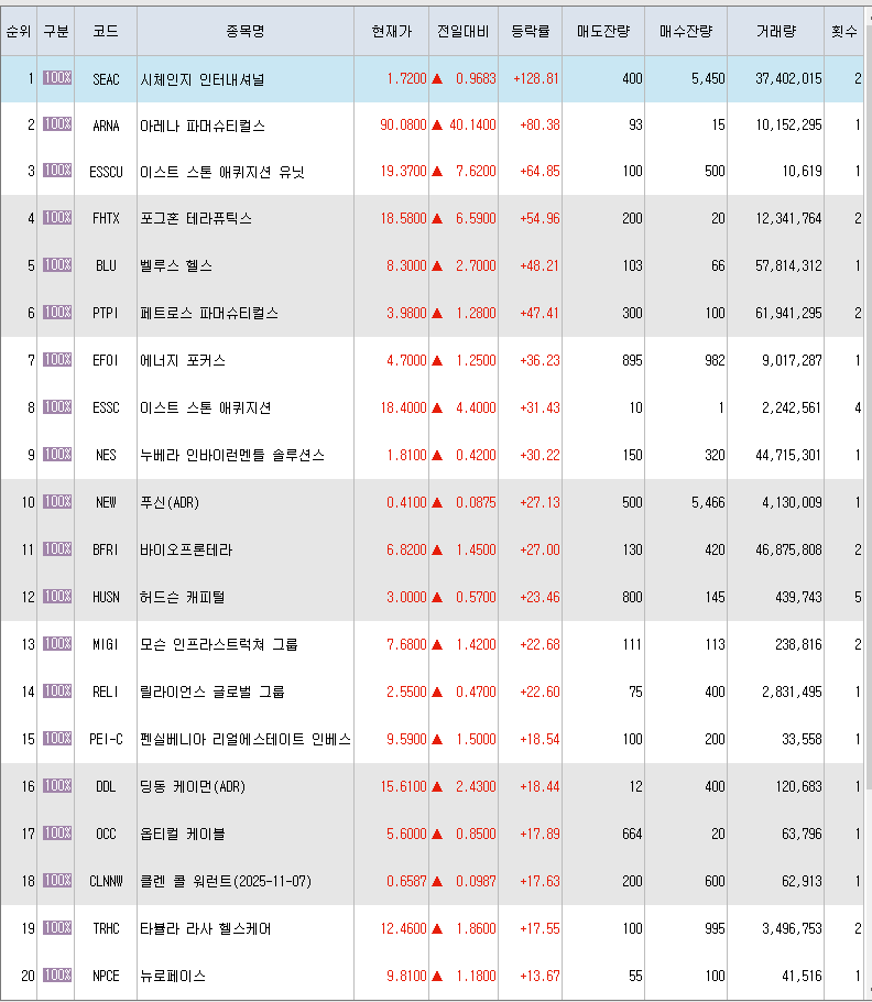  12월13일 미국주식 상승률 상위 종목 TOP 300
