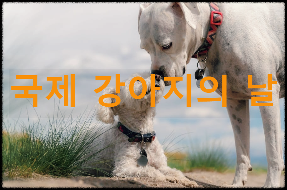  국제 강아지의 날 : 전 세계 모든 강아지를 사랑하고 보호하자는 취지로 제정된 날