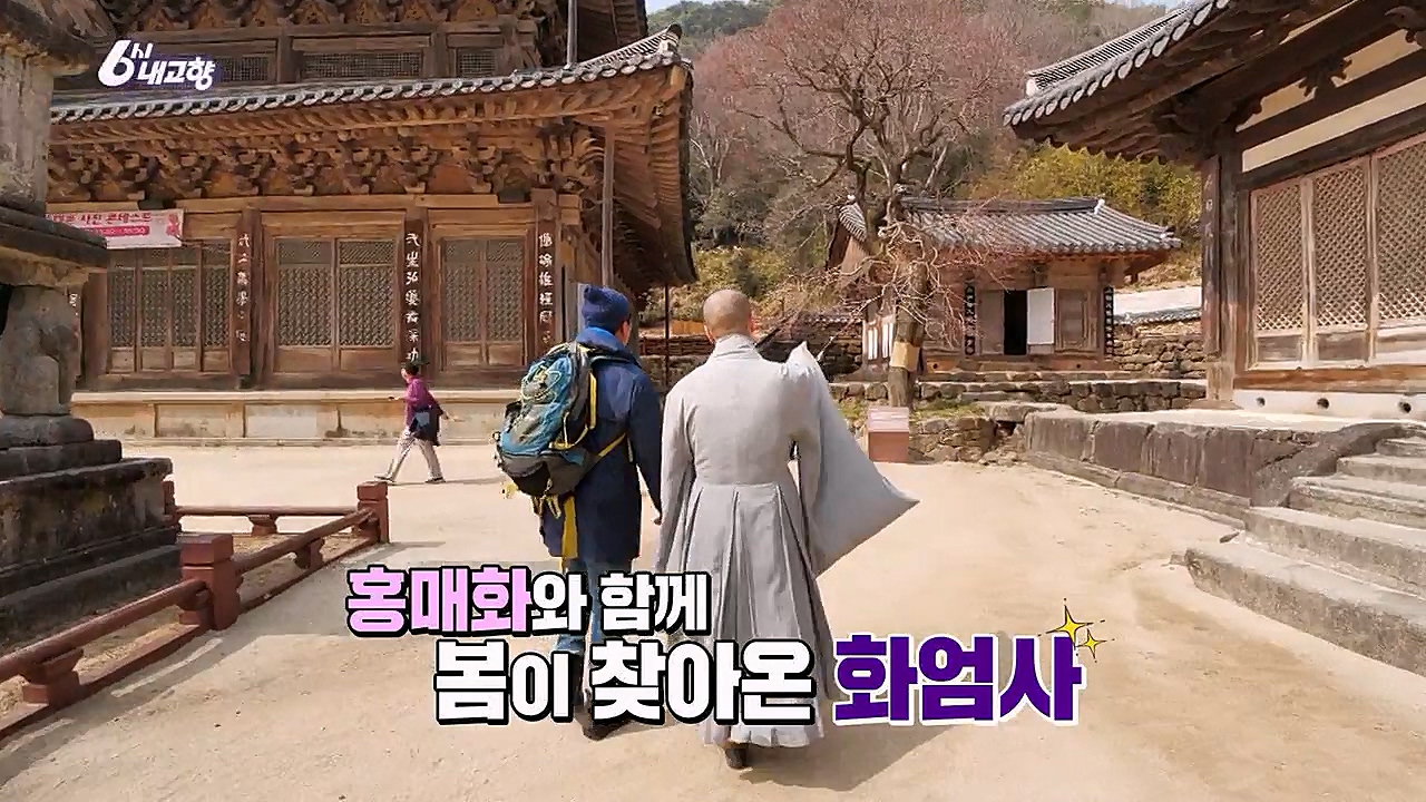 6시 내고향.E7753.230315p-NEXT.mp4_20230315_180920.951.jpg