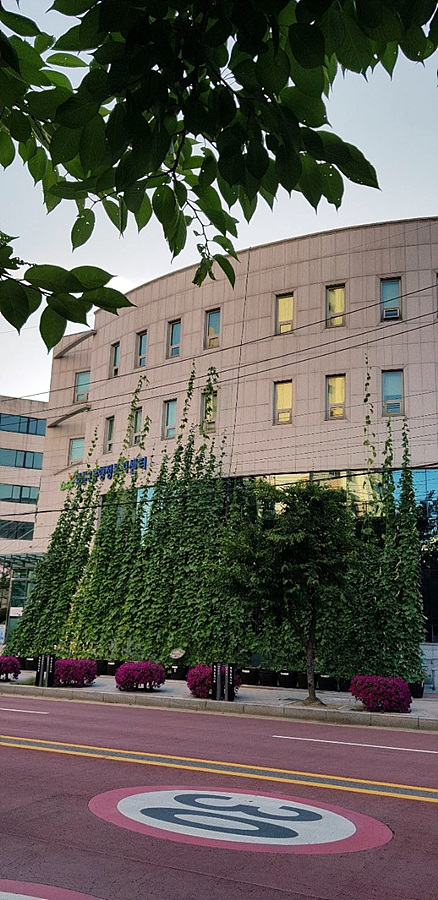 kbs1tv 다큐온 KBS1TV // 회천3동 생태그늘막 28