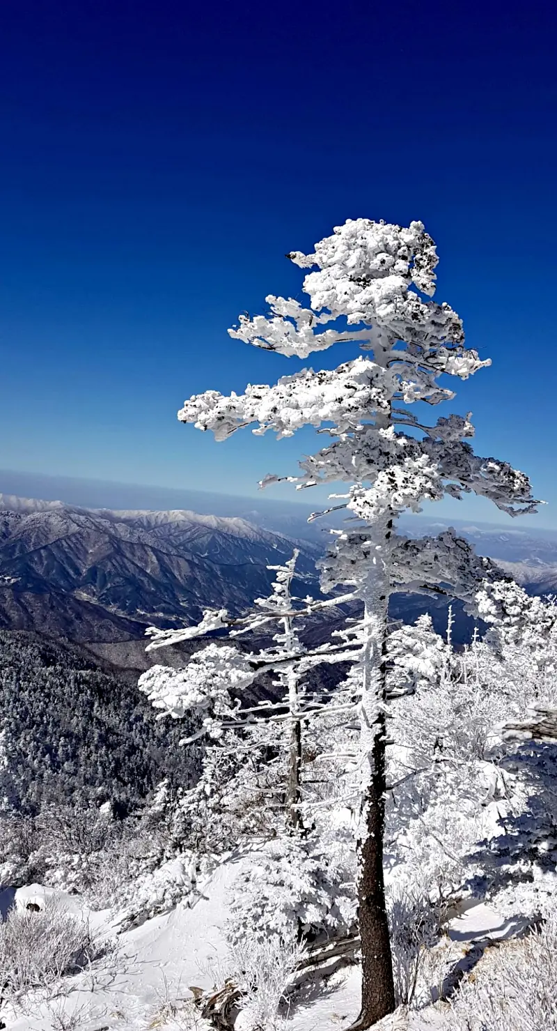 지리산 설경 상고대