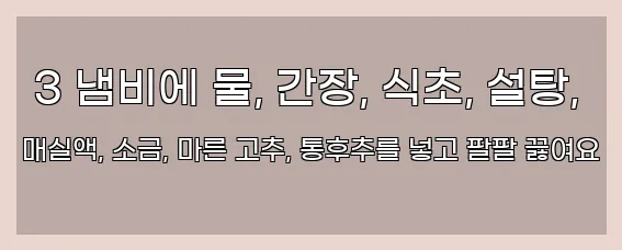  3 냄비에 물, 간장, 식초, 설탕, 매실액, 소금, 마른 고추, 통후추를 넣고 팔팔 끓여요