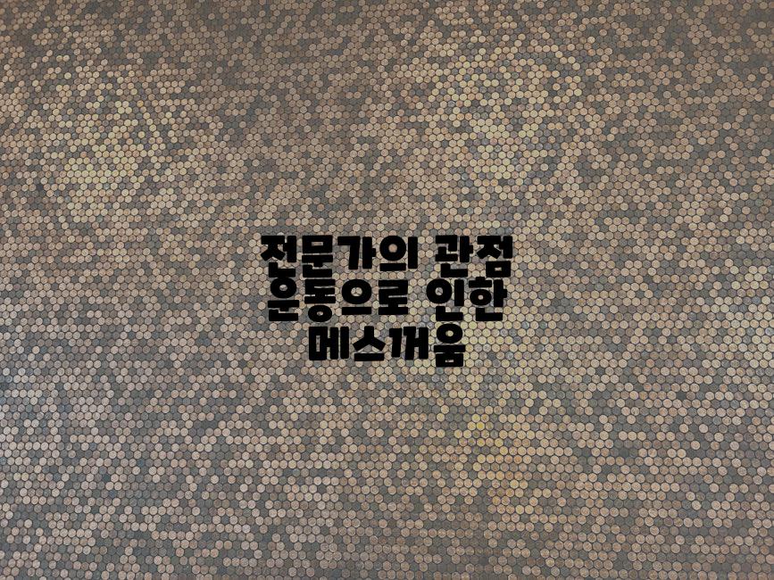 전문가의 관점 운동으로 인한 메스꺼움
