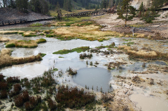 Mud Volcano Area