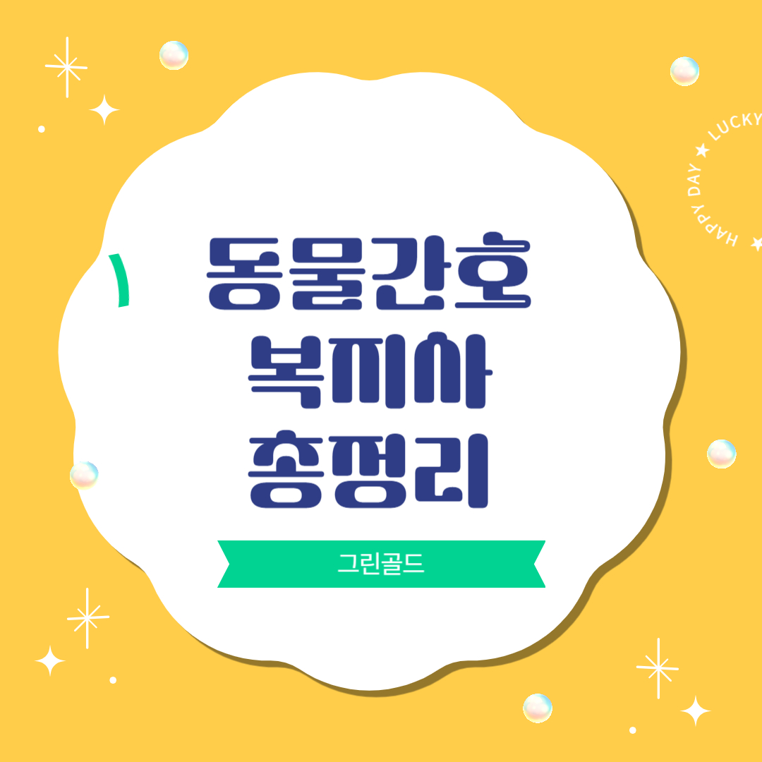 스킨사진
