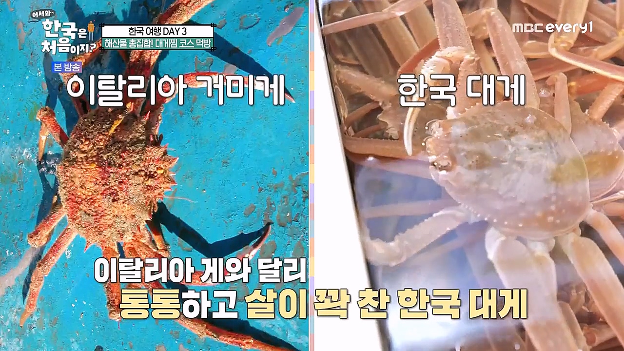 어서와 한국은 처음이지 시즌2.E246.230120p-NEXT.mp4_20230120_192641.977.jpg