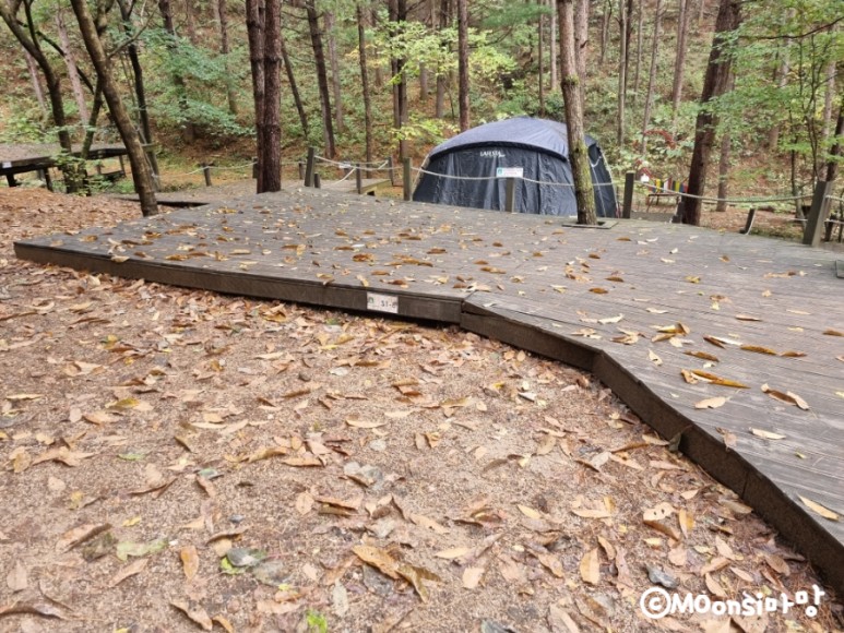 하늘그린캠프, 숲속의 23