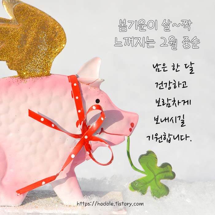 2월 중순 인사말 이미지