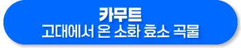 카무트 효소 효능