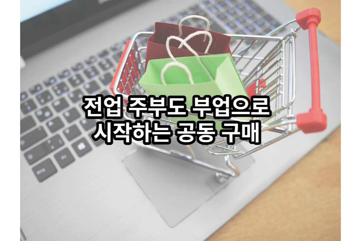  전업 주부도 부업으로 시작하는 공동 구매