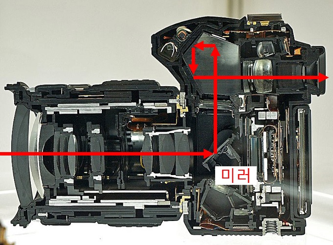  DSLR, 미러리스 카메라 어떤게 다른건가요?