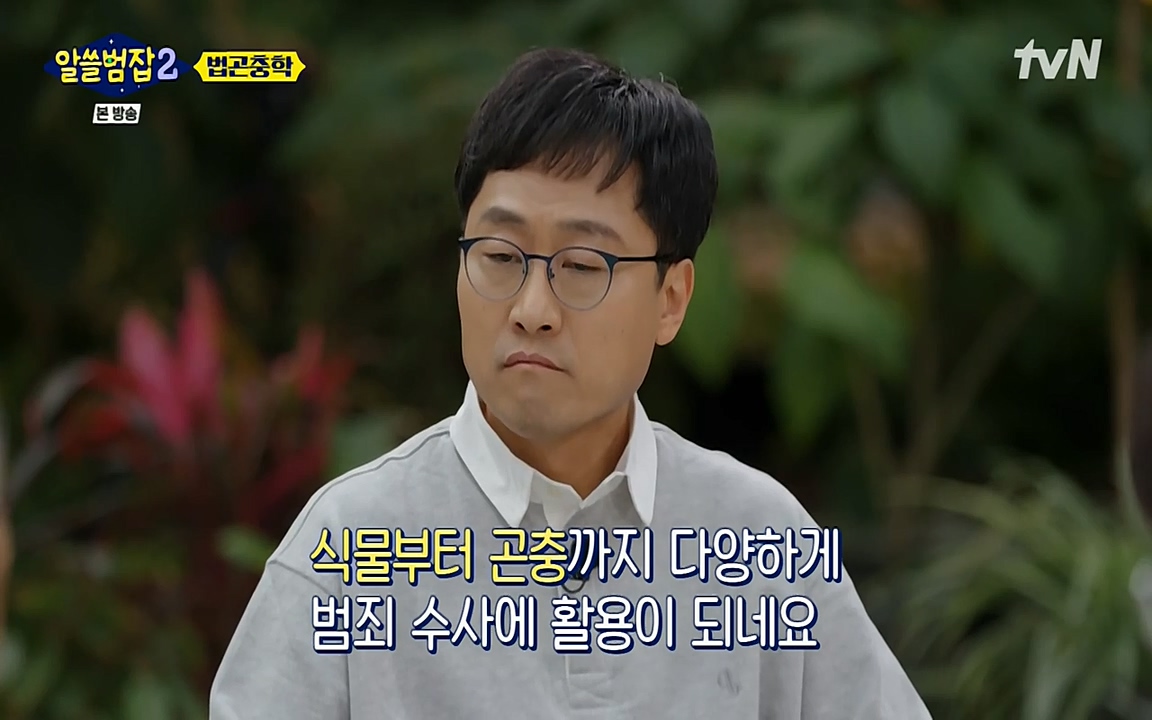 알쓸범잡 2.E15.220425p-NEXT.mp4_20220425_181411.954.jpg