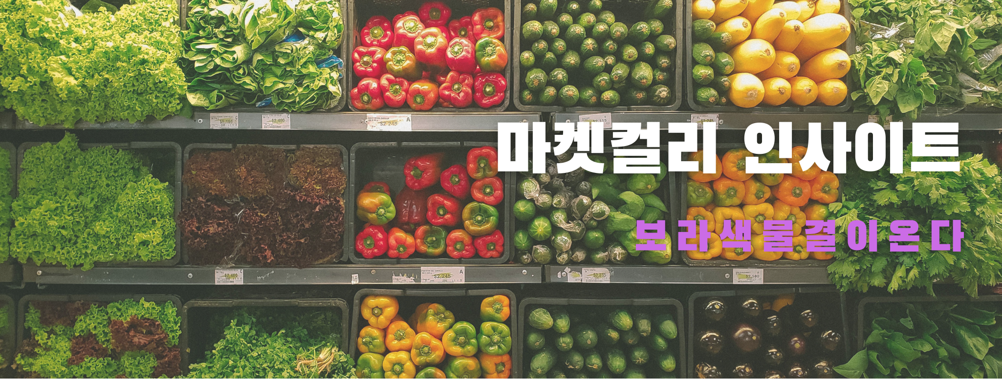  마켓 컬리 인사이트 - 보라색 물결이 온다.