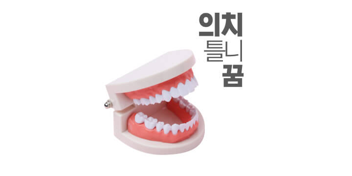 이빨-의치-틀니-모형