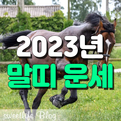 2023년 말띠 운세