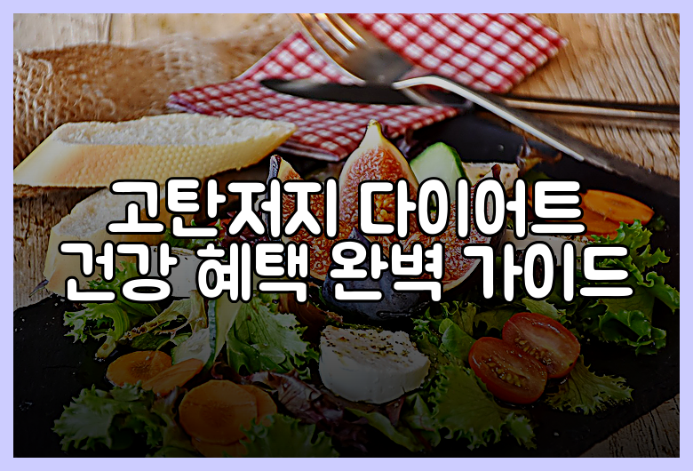 고탄저지 다이어트 건강 혜택 완벽 가이드