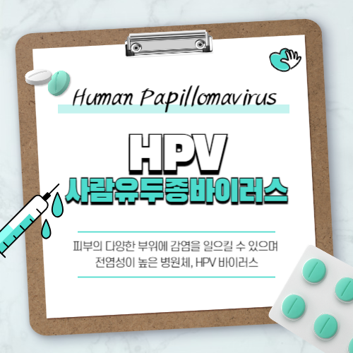  HPV 바이러스가 뭐지?  HPV예방접종 알아보기
