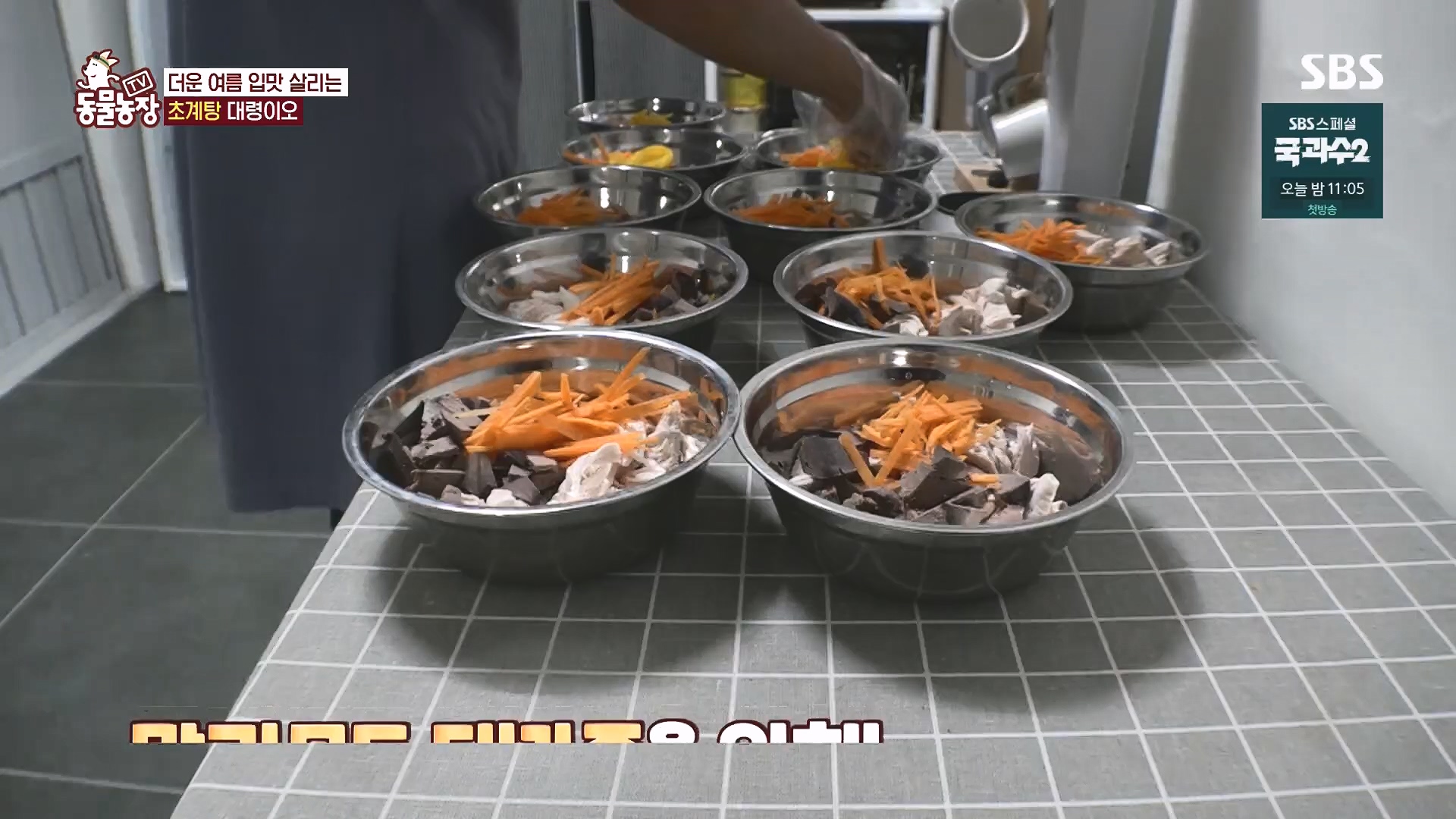 TV 동물농장.E1136.230903p.H264-F1RST.mp4_20230903_180338.942.jpg