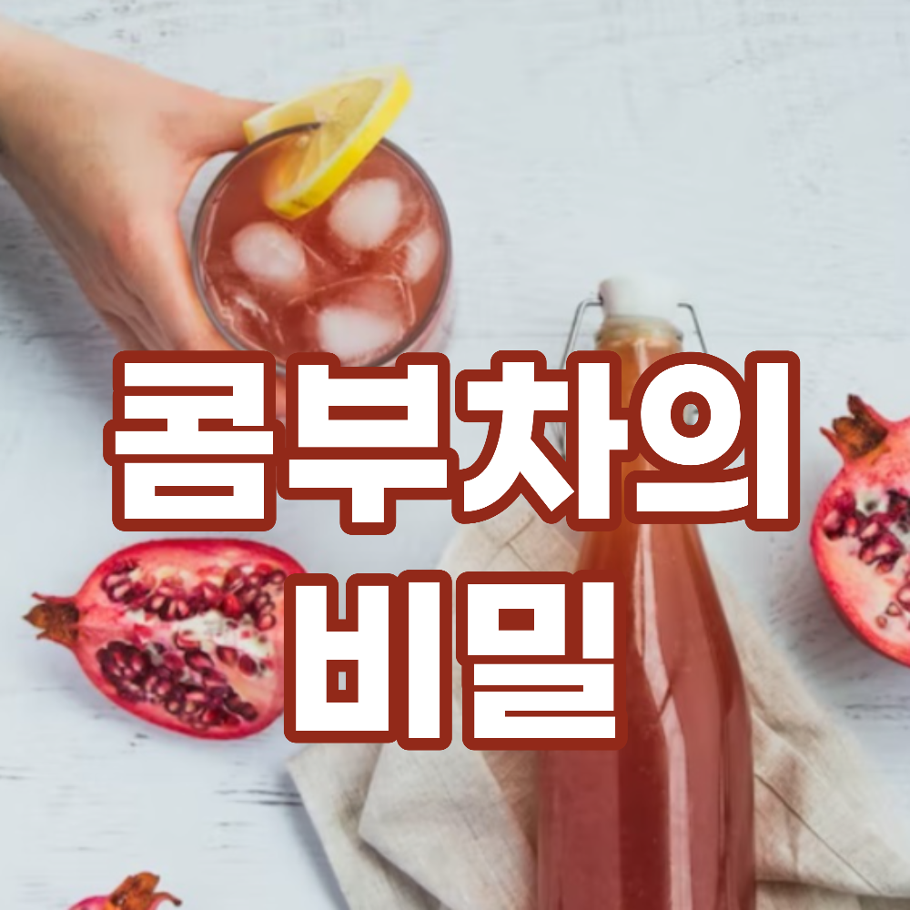  콤부차 효능과 유래 그리고 전 세계 인기 건강음료(이디야,티젠,아임얼라이브 콤부차)