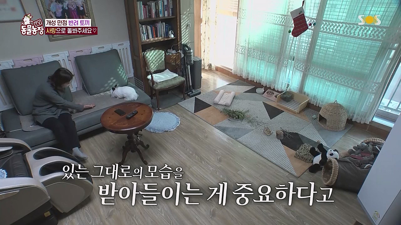 TV 동물농장.E1104.230123p.WANNA.mp4_20230123_195420.570.jpg