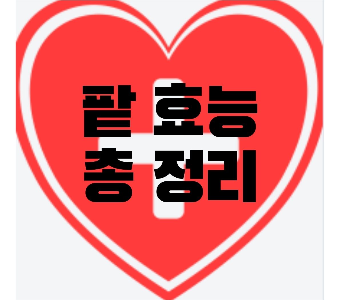 팥-효능
